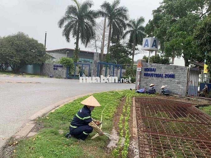 Bán Đất – [GIÁ CỰC SỐC ]-Đại Học Thủ Đô-Gần KCN,Sân Bay NB -Thông ÔTô-