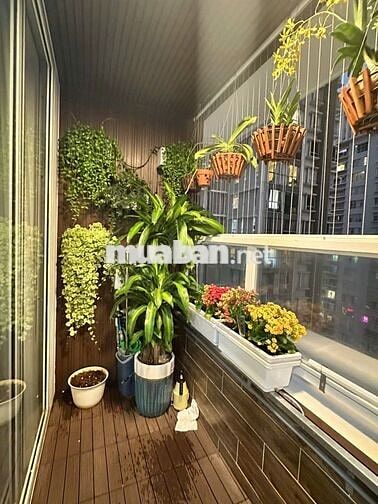 Bán căn Sunrise 2pn, 99 m2, view đông, 7.65 tỷ, còn 1 căn duy n.hất -