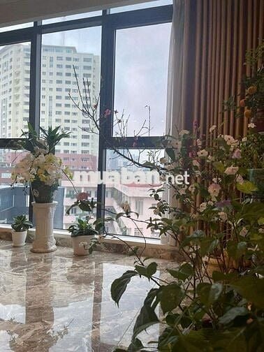 🏢 SIÊU PHẨM 7 TẦNG THANG MÁY – 5M RA PHỐ TRUNG KÍNH – KINH DOANH ĐỈNH