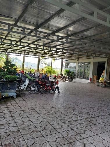 Xưởng xs - Ngộp Bank nặng - Gấp bán giảm 1 tỷ - chỉ còn 17,5 tỷ