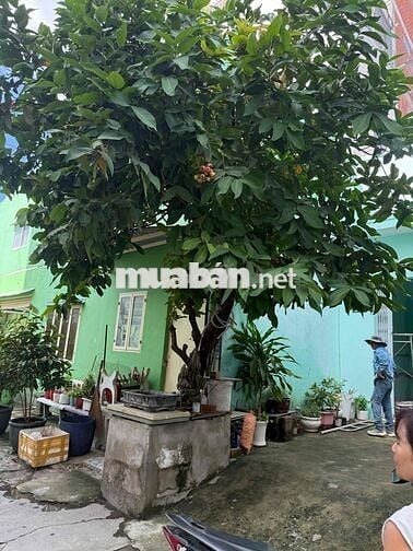 nhà thuê Bùi tư toàn an lạc bình Tân DT 84m giá 8tr