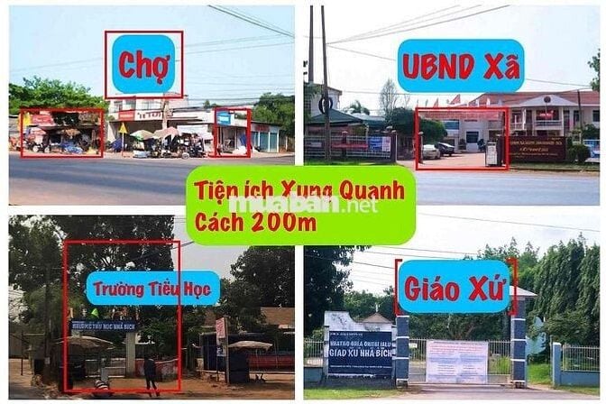 Ngộp bán gấp 300m2 - Sẵn thổ cư - xây dựng tự do - Cách chợ 400m