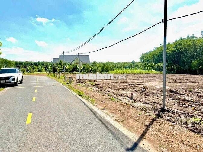 🌳 BÁN GẤP LÔ ĐẤT MẶT TIỀN ĐƯỜNG NHỰA 7M – GẦN KCN CÂY TRƯỜNG 2 & KCN M