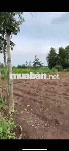 BÁN ĐẤT NỀN GIÁ RẺ – XÃ LÂM SAN, HUYỆN CẨM MỸ, ĐỒNG NAI 🌳