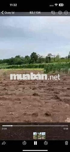 BÁN ĐẤT NỀN GIÁ RẺ – XÃ LÂM SAN, HUYỆN CẨM MỸ, ĐỒNG NAI 🌳