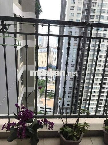 Siêu rẻ tại Vinhomes Gardenia, Mỹ Đình 60m2 1PN đủ đồ đẹp chỉ 13tr/th