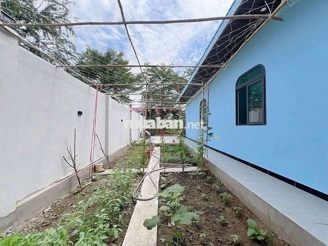 BÁN SÂN VƯỜN 96M2 880TR KO PHÁT SINH HƯNG NHƠN-HCM.SHR, ĐƯỜNG NHỰA OTO