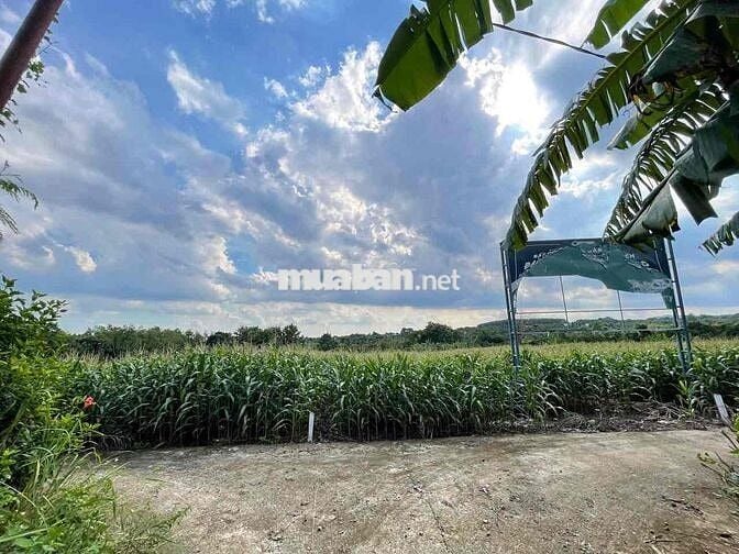 🌳 ĐẤT 8.252 m² – XÃ XUÂN TÂY, HUYỆN CẨM MỸ, ĐỒNG NAI  Đất ở🌳