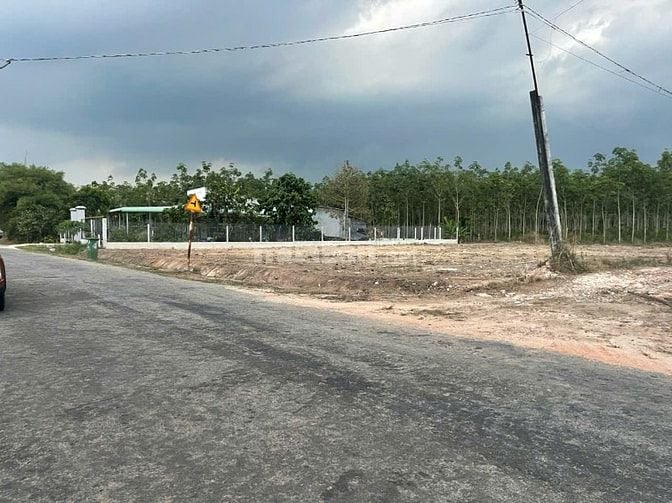Bán đất tại Dầu Tiếng - Bình Dương 250m2 đường nhựa giá chỉ 290 Triệu