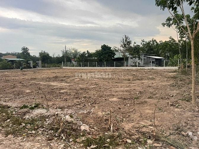 Bán đất tại Dầu Tiếng - Bình Dương 250m2 đường nhựa giá chỉ 290 Triệu