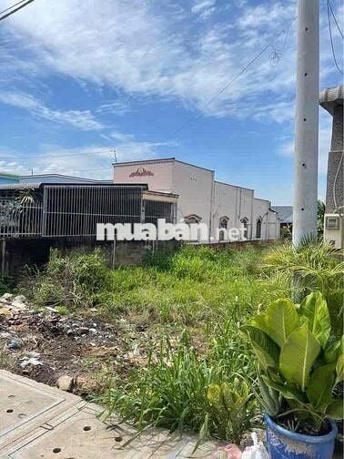 Gấp Lô Đất Mặt Tiền NGUYỄN KIM CƯƠNG DT 500m2 Giá 880tr