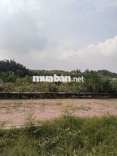 300 m có chợ 800 m có Đại học mở đại học thành phố Hồ Chí Minh