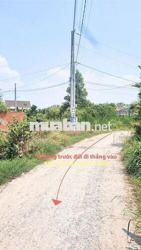 Bán đất đường Lục Viên, Đức Lập Hạ, Đức Hòa, LA, 1,5 tỷ, thổ cư: 177m2