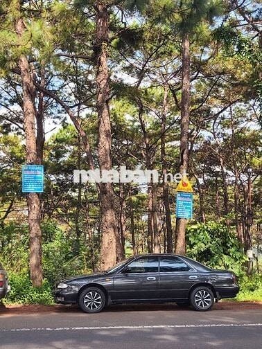Nissan bluebird AT chất xe đẹp