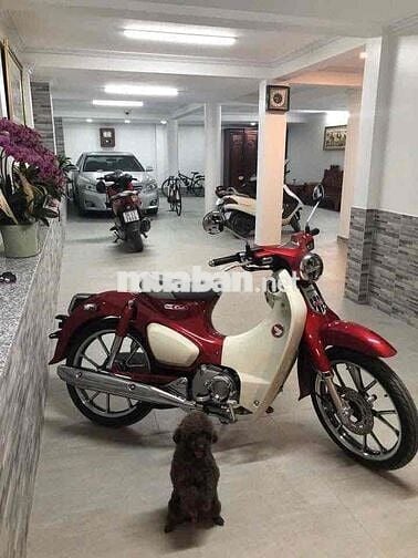 Bán Biệt Thự 8x20m gồm 1 hầm và 3 tầng lầu, NTCC
