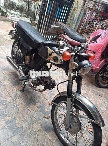 honda 67 sk sm chuẩn
