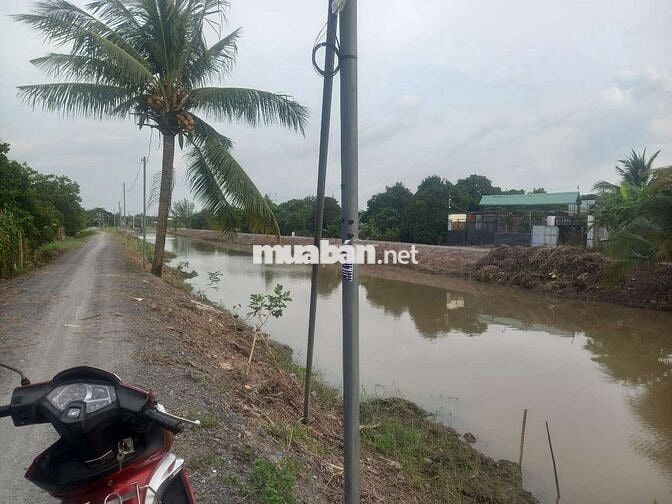 Ban đat vuon an son thuan an binh duong wiu rach lon mat lam