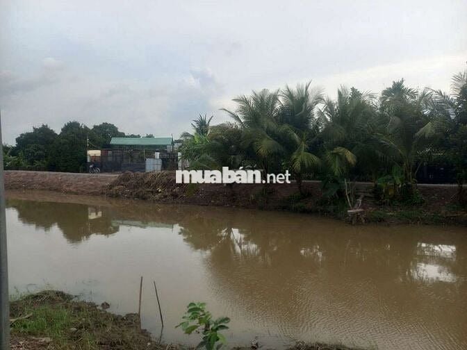 Ban đat vuon an son thuan an binh duong wiu rach lon mat lam
