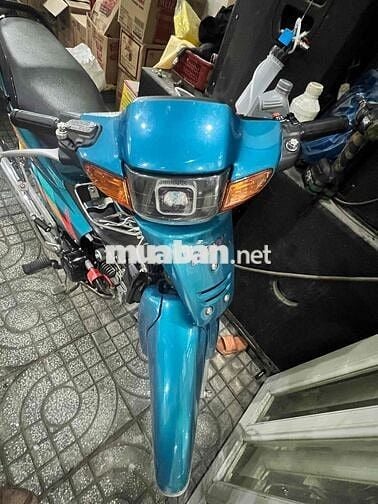 Ra đi cứu chủ