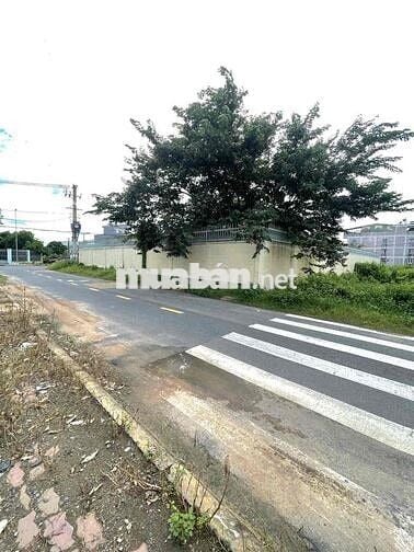 Bán Nhanh Lô Đất Mặt Tiền Huỳnh Văn Cọ, Thị Trấn CC DT 200m2 Giá 720tr