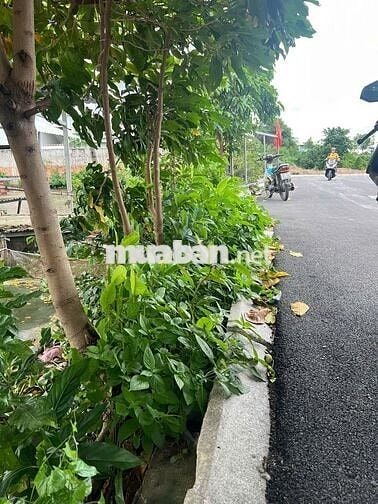 Bán đất hẻm xe tải An Dương Vương, Bình Tân – 50m², giá chỉ 4,5 tỷ