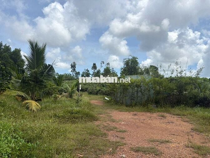 Cần tiền bán gấp  8.000m² đất vườn BÀ NÀ cách sân bay 26km