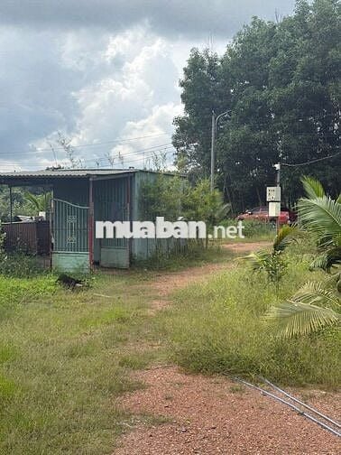 Cần tiền bán gấp  8.000m² đất vườn BÀ NÀ cách sân bay 26km