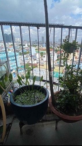 :BÁN CĂN HỘ : PEGASUITE 1__2 PHÒNG NGỦ, 2 TOILET --Phường 6 ,QUẬN 8 - 