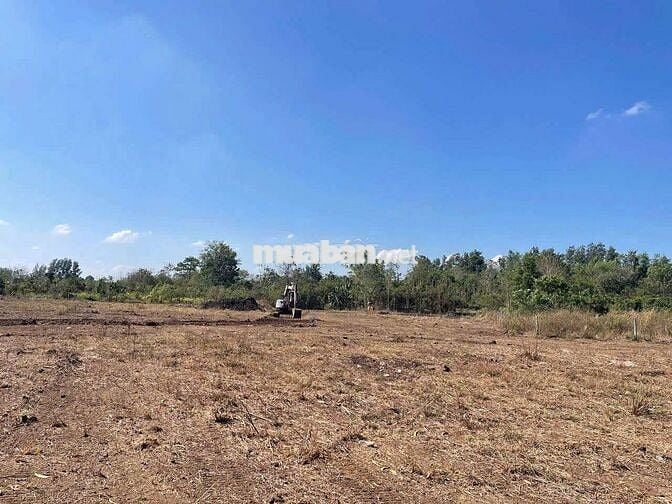 BÁN ĐẤT LỚN – XÃ BẢO BÌNH, HUYỆN CẨM MỸ, ĐỒNG NAI