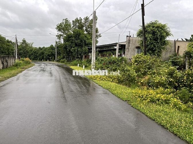 🌿Đầu tư một lần – Tận hưởng cả đời nhà vườn 1000m² đất chỉ 850Tr - SHR