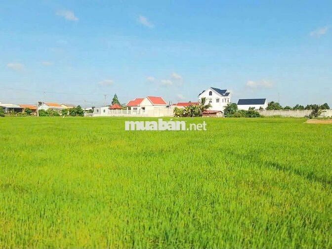Quá Vip, 2060m2 đất vườn View Kênh cực đẹp chỉ 1.3 tỷ