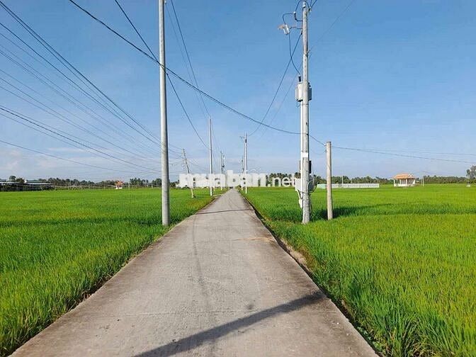Quá Vip, 2060m2 đất vườn View Kênh cực đẹp chỉ 1.3 tỷ