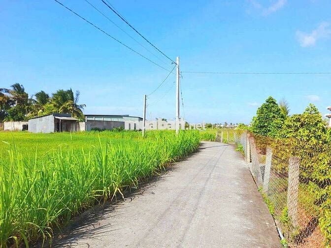 Quá Vip, 2060m2 đất vườn View Kênh cực đẹp chỉ 1.3 tỷ