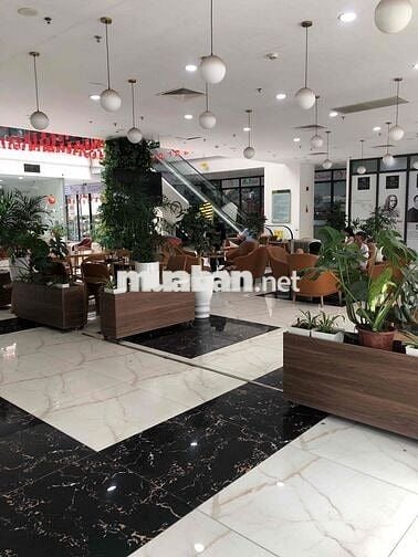 CHUNG CƯ GREEN PARK-MẶT PHỐ TRẦN THỦ ĐỘ DOANH ĐA DẠNG-DÒNG TIỀN ỔN ĐỊN