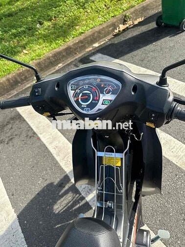 Elegant 50cc/2025