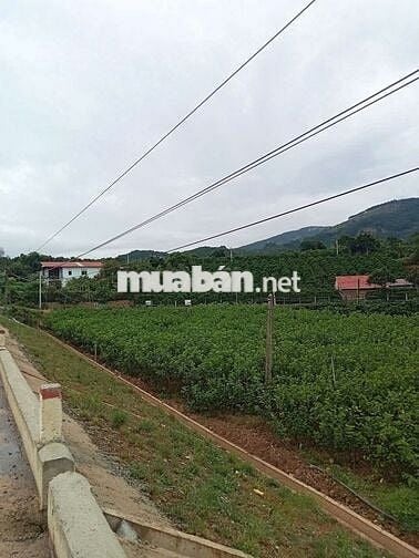 BÁN LÔ ĐẤT VÀNG – MẶT TIỀN ĐƯỜNG 725 – VIEW HỒ MÊ LINH - LÂM ĐỒNG