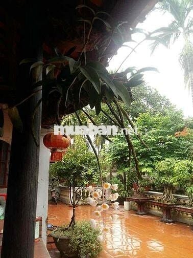 Cho Thuê NHÀ ĐƯỜNG VƯỜN LÀI : 5 x 17 M Đúc 1 Trệt, 2 Lầu