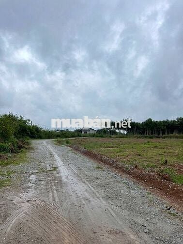 Đất ODT ở Thị Trấn Tân Phú, Xã Đồng Phú Tỉnh Đồng Nai mới