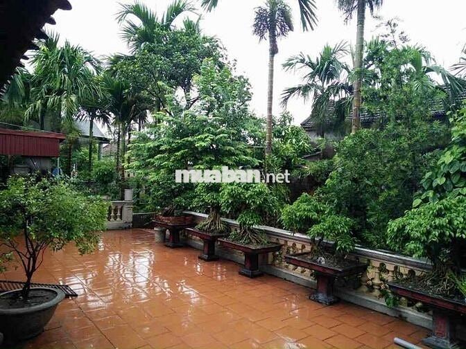 Cho Thuê NHÀ ĐƯỜNG VƯỜN LÀI : 5 x 17 M Đúc 1 Trệt, 2 Lầu