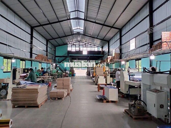 MẶT BẰNG NHÀ XƯỞNG TÂN PHƯỚC XÂY DỰNG KIÊN CỐ