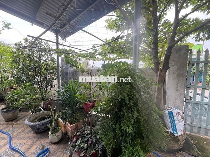 Bán nhà vườn nghỉ dưỡng giáp TPHCM 30p chạy xe