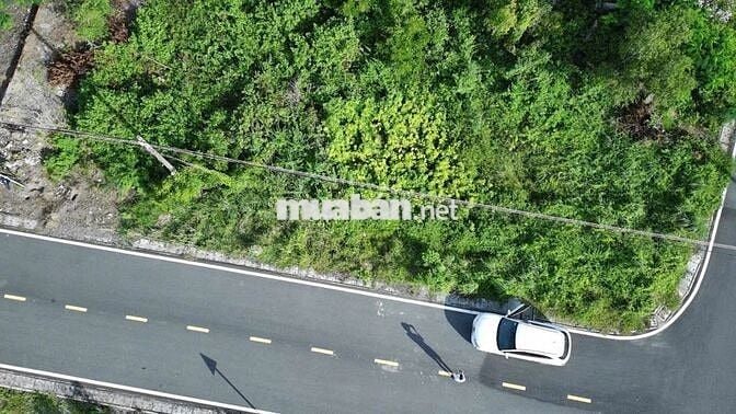 Chính chủ kẹt tiền cần bán gấp lô đất ở phước hải