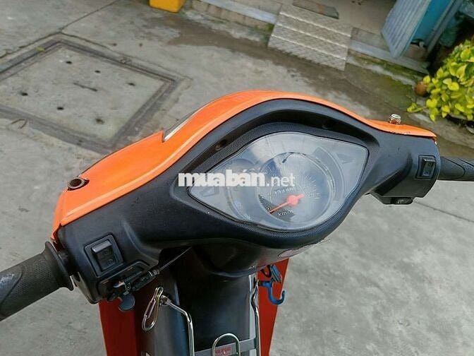 50cc ko cần bằng lái