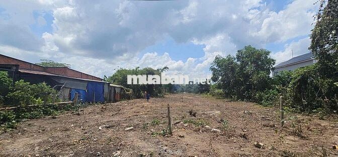 2 Lô sổ đỏ vuông vức liền kề 1962m2 mặt tiền sát TL7 , chợ Phước Thạnh
