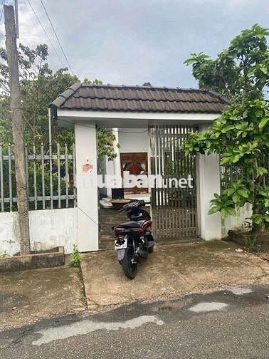 Nhà vườn Bình Chánh 200m2, mặt tiền nhựa, SHR chỉ 780 Triệu