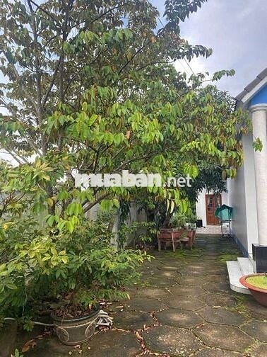 Nhà vườn Bình Chánh 200m2, mặt tiền nhựa, SHR chỉ 780 Triệu