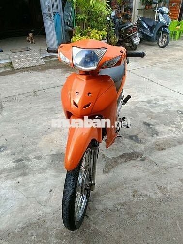 50cc ko cần bằng lái