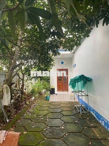 Nhà vườn Bình Chánh 200m2, mặt tiền nhựa, SHR chỉ 780 Triệu