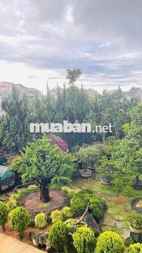 🔥 13,5 tỷ Sở hữu Villa Mini sang trọng, ấm áp Trung tâm phố Đà Lạt 🔥