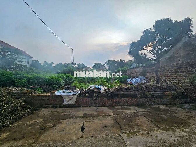 VỊ TRÍ ĐẸP -- ÔTÔ TRÁNH,  THÔNG TỨ TUNG - 500M RA TL421 - GIÁ ĐẦU TƯ..